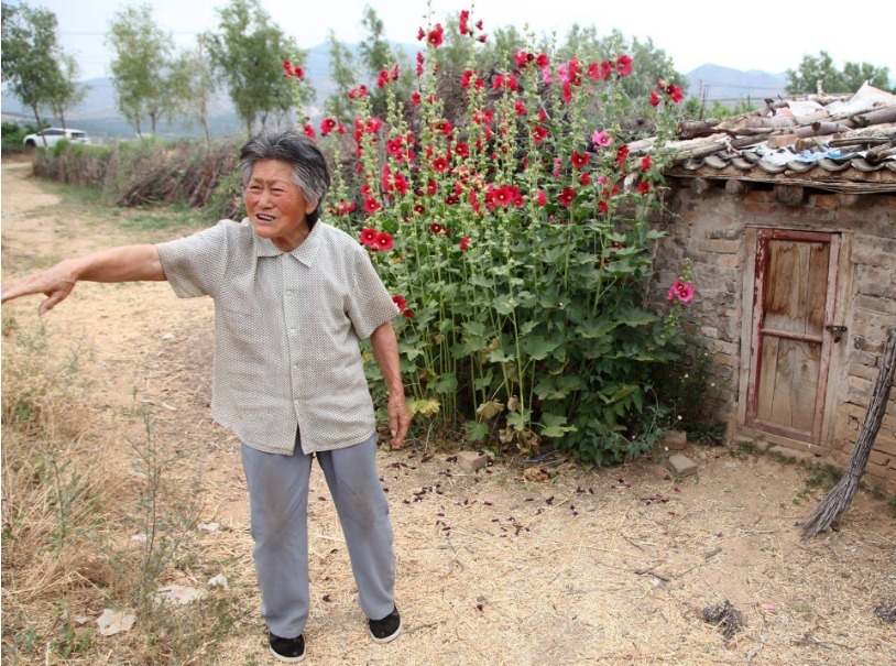 可治|民间土偏方:“豆浆+南瓜”一起煮,一周喝3次,膝盖不疼了