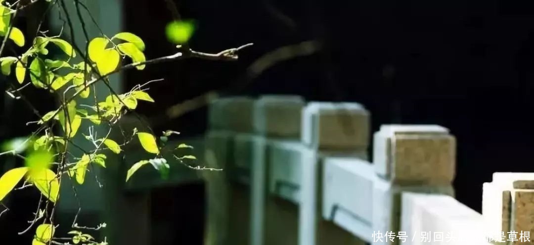 恩情难忘,怨恨易消!(经典好文)!