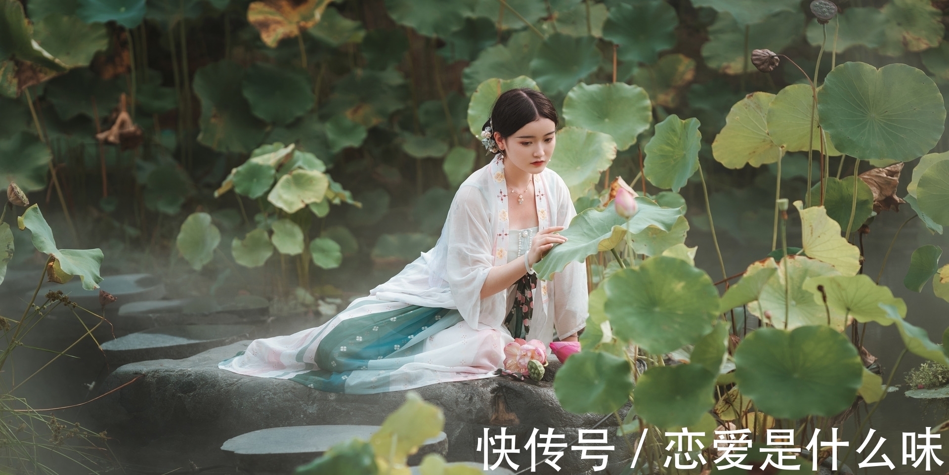 故乡|诗·九首丨抬头欲问天边雁,可否捎书到故乡?