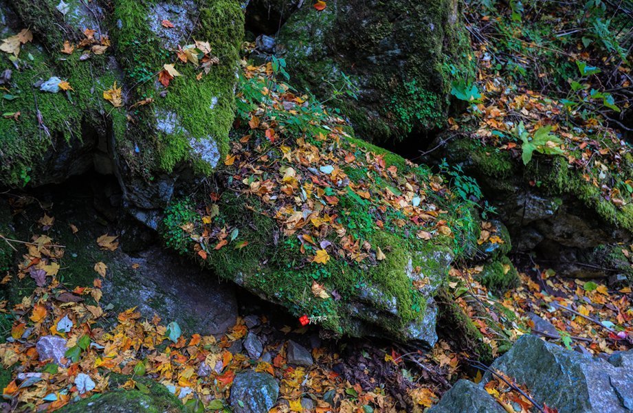 铁顶太兴山，号称终南第一峰险过华山，我用七个小时带你走完全程