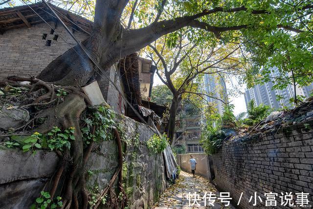 国有土地|集体土地却按国有土地程序征收征收决定被确认违法