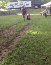 |搞笑GIF:在驾校这样练车 我就不信你练不好