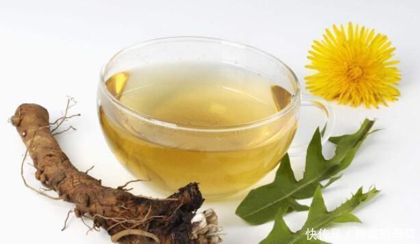 蒲公英泡水喝有讲究,四大好处和三大禁忌一定要了解