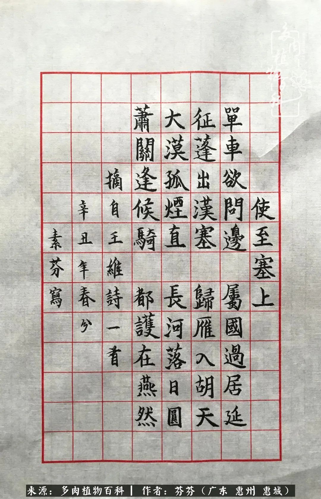 养花|一种爱好就是一种境界，养花养多肉可以培养一个人的心境！