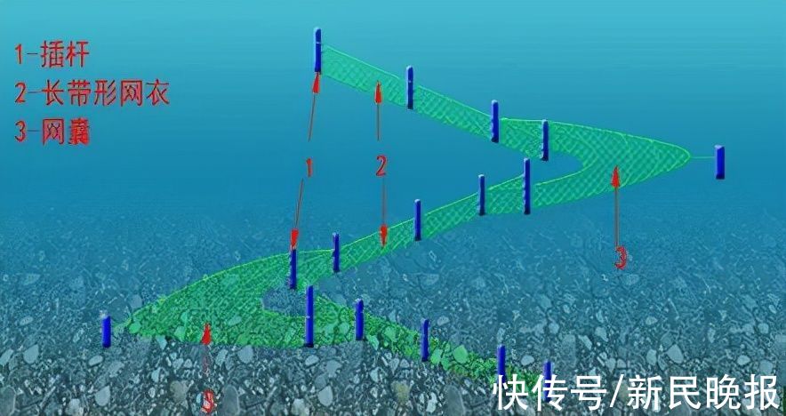 渔具|一觉醒来，除了钓鱼竿，几乎所有渔具都被禁了