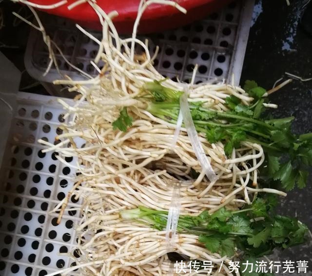 你生活的城市,最好的小吃是什么