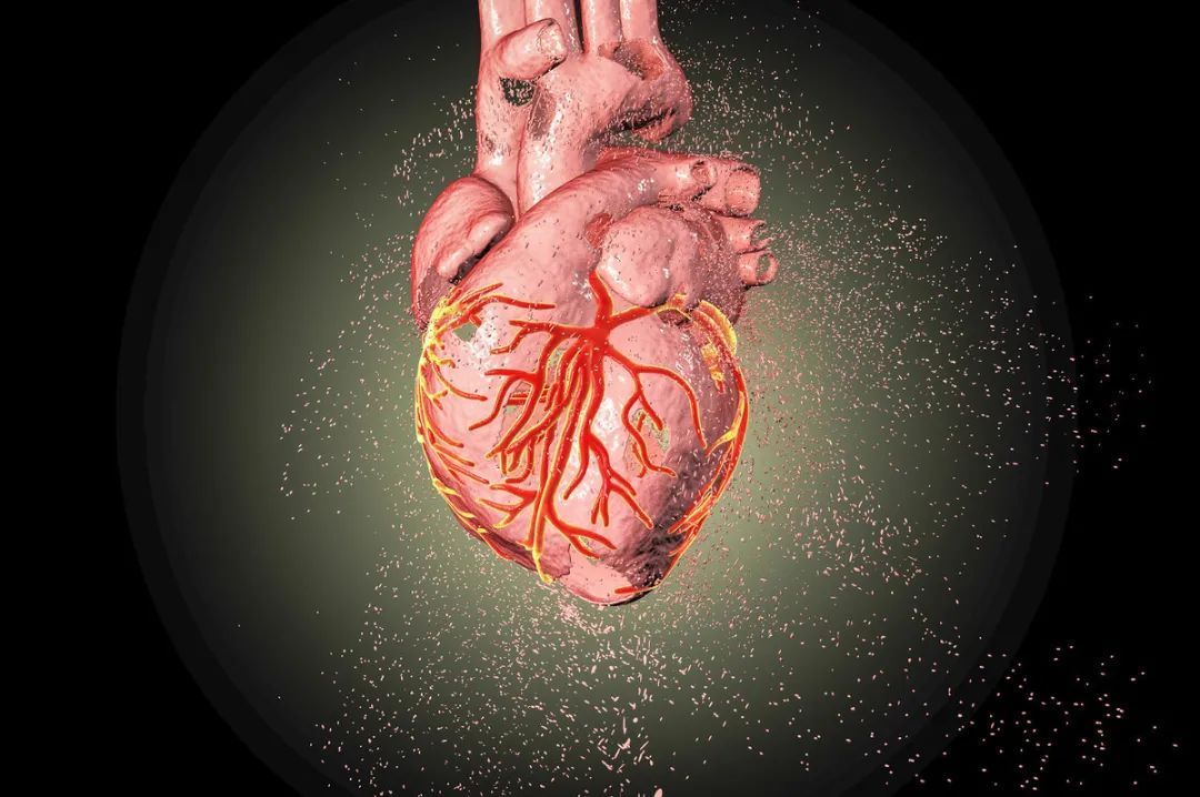 脉搏|一个人心脏好不好,看这三个地方,养护心脏,谨记“四多五少”