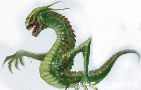 山海经|山海经:有多少神奇的虫子,能吃吗?为何人也算也是虫子的一种?