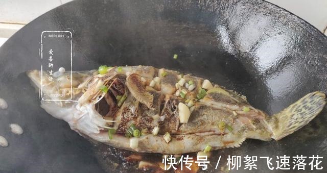 桂鱼|它是淡水鱼中的“极品”，四季都便宜，刺少肉嫩，孩子多吃长身体！