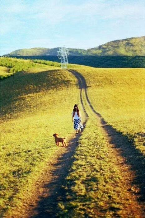 玩伴|美文赏析 静夜思故乡