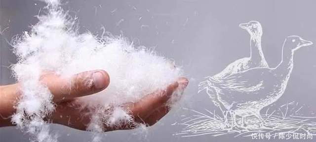 羽绒服|羽绒服盘点种草:含大牌秀场款、选购注意事项