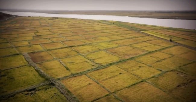 创立|王莽创立新朝后,所做之事处处为民着想,为何还是导致民不聊生?