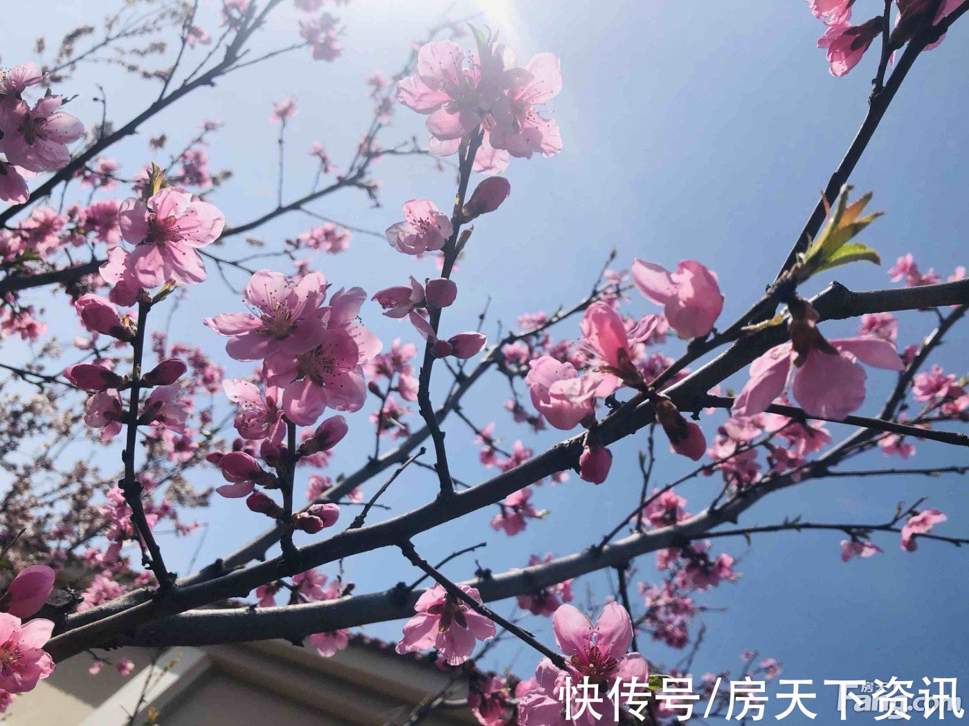 新动态|请查收从大连旅顺口热门楼盘现场传来多张谍照（组图）