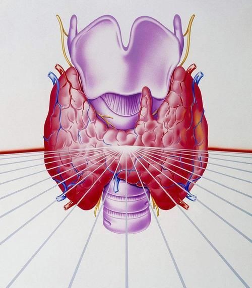 结节|有了“甲状腺结节”，多留心3个方面，可能会避免病情恶化