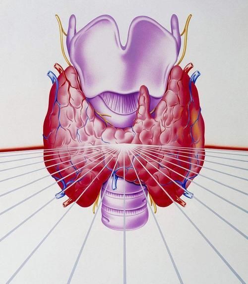 结节|有了“甲状腺结节”,多留心3个方面,可能会避免病情恶化
