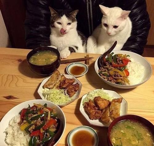 不吃晚饭|长时间不吃晚饭的人，除了能让人变瘦外，还会有哪些表现？