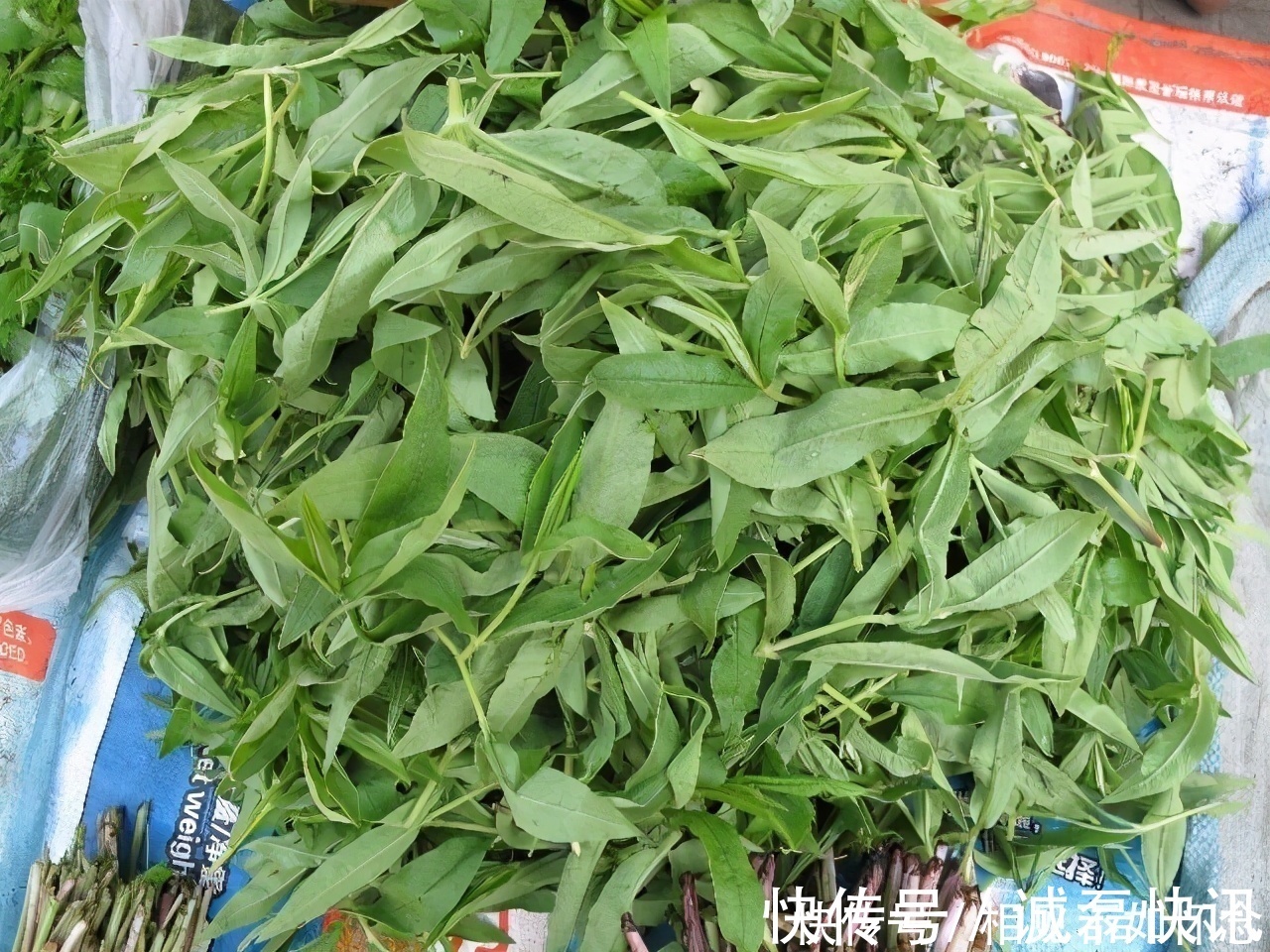 李医师|营养价值高的3类食物，不妨常吃，帮助消化、清理肠毒、健脾安神