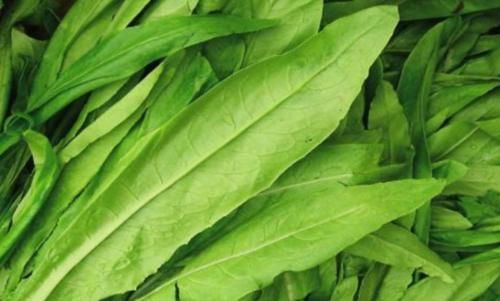 维生素b1|秋季到,正是吃三种食材的时候,营养健康价格又不高