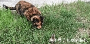 |搞笑图片幽默段子笑话:设计师,这个露天楼梯当初没考虑天气吗?