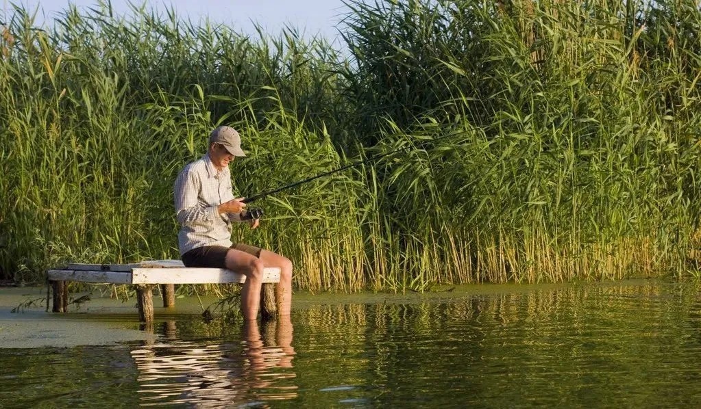 垂钓|冷天钓鲫鱼,只要掌握好这些因素,垂钓鱼获更多,鲫鱼个体更大