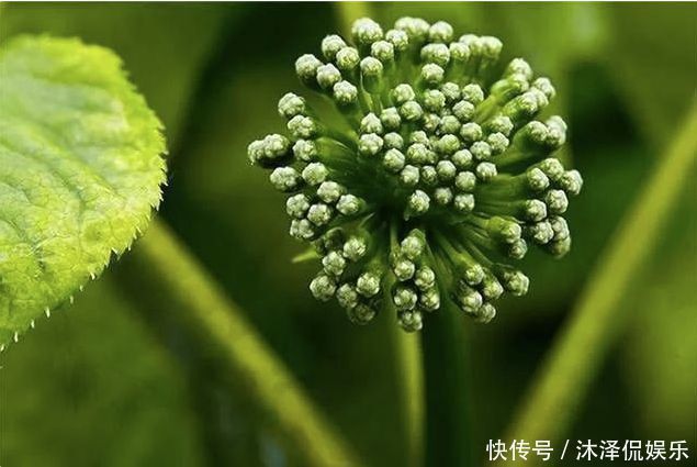 这3物可“激活”雄性激素,连用7天,50岁也可壮如牛