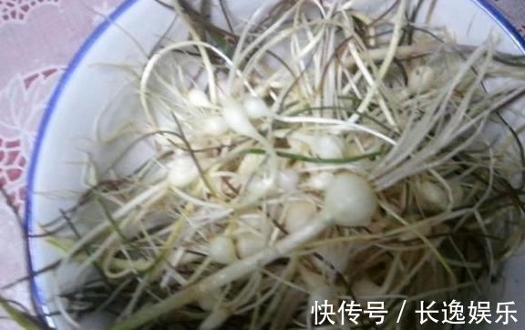 凉拌|农村最常见的“三种野菜”,90后都吃过,城里有钱也买不到