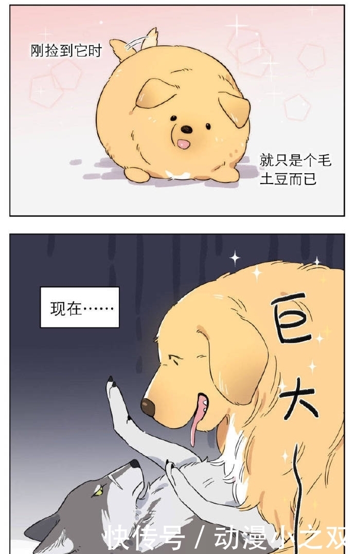 小玩意儿|漫画：小玩意儿长大了，赶不走了怎么办？