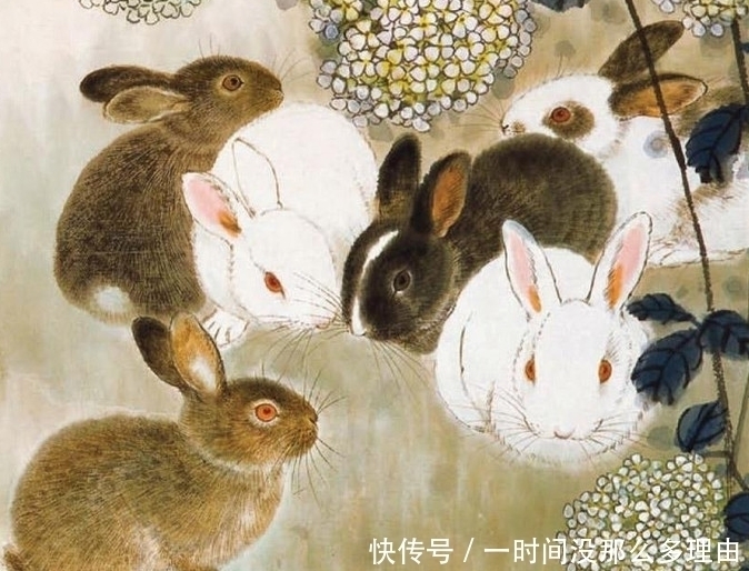 生肖兔|生肖兔出生在几月份，命如玉兔，衣食无忧，一生不受穷，孤，苦
