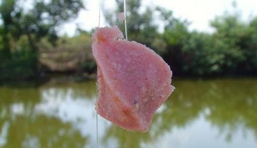 三伏天鲢鳙最好钓，手竿钓鲢鳙，这种钓法最犀利，一钓一个准！