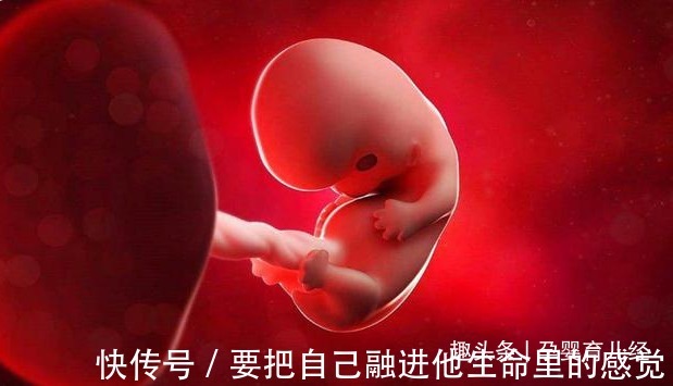 染色体|怀孕后,想知道胎儿性别是什么,可以尝试这些方法来鉴别