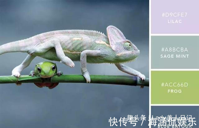 配色|为什么你总穿不对学会“中性色配色”干货，最实用高级的色彩搭