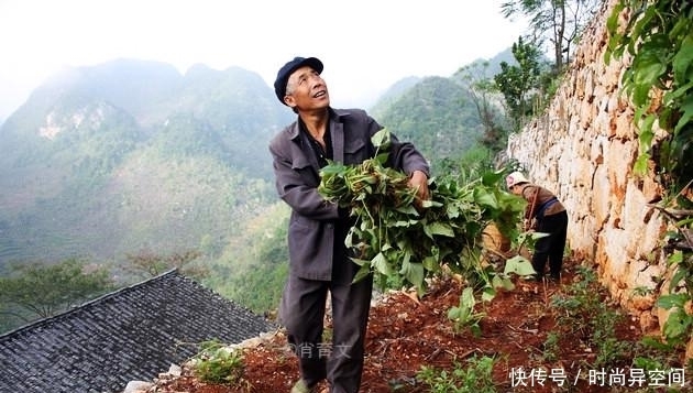 同住|全村290多人同住在一个岩洞里300多年，这个穴居村落到底多神奇