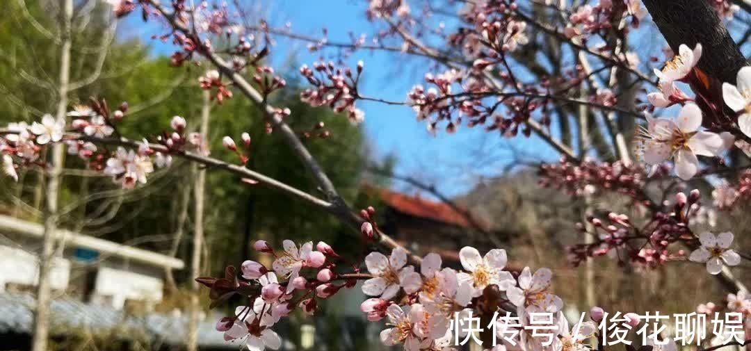 古观音禅寺|为什么说，“仕宦当作执金吾，娶妻当得阴丽华”？