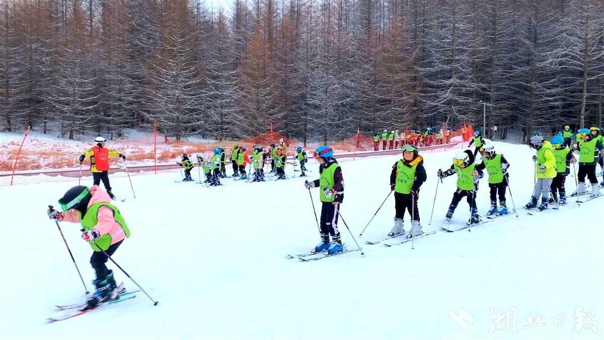 五环|神农架300名学生摆“五环”图案，为冬奥会加油