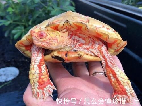 21个鲜为人知的冷知识可能让你重新认识这个世界