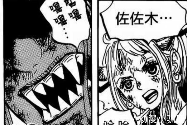 路飞|海贼王:大和是猫猫果实能力者,形态是白虎,和凯多同属天之四灵