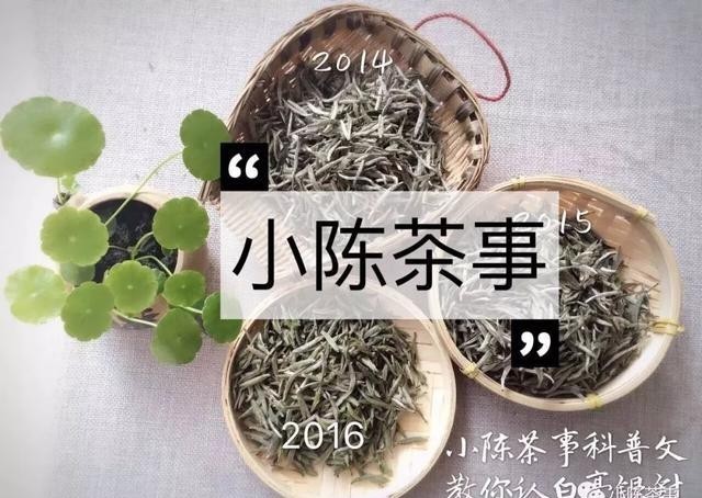 味道|日常知识科普,老白茶味道淡些好,还是浓些好?