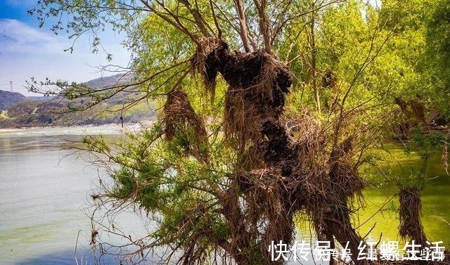 古栈道|这个古村人坐在家门口就能看黄河，这里的古栈道、古驿站保存完好！