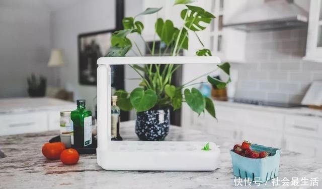外国人发明的“室内小菜园”,一年四季长爆盆,太神奇了……!