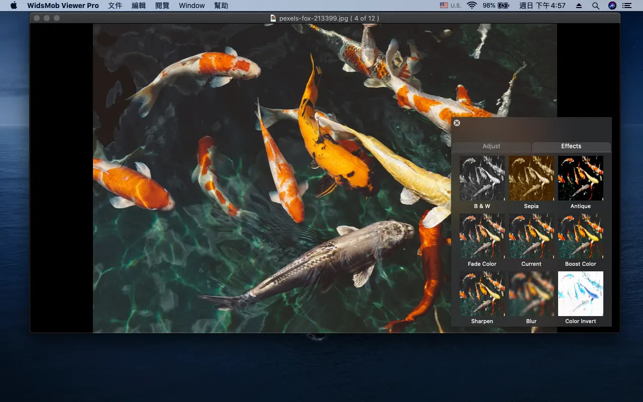 WidsMob Viewer Pro v2.7.0.118 照片管理查看-下载否