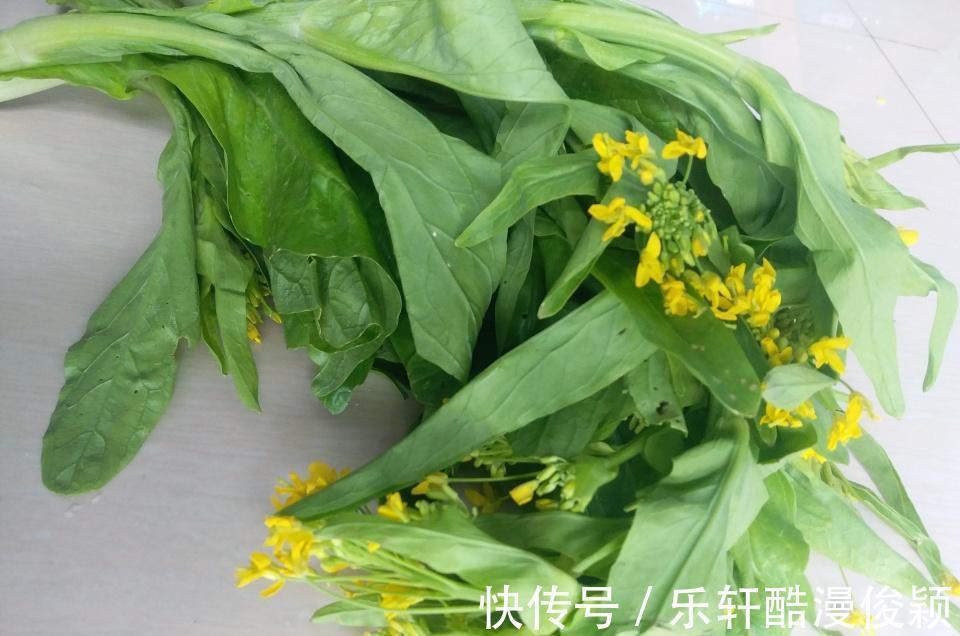 入冬吃大白菜包菜，不如多吃花菜，利肠道，炒着吃鲜香肥嫩，下饭
