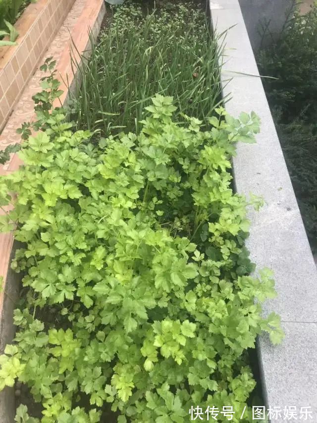 遇见,是一生!遇见多肉,是我的余生和全部!