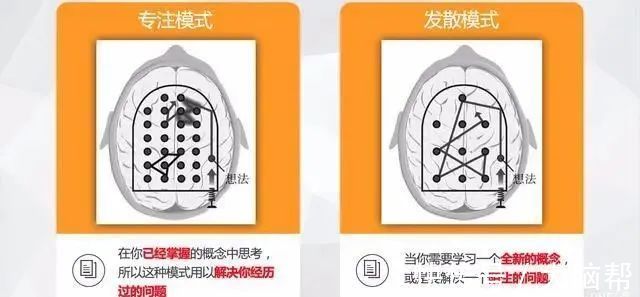 研究|脑科学研究：七个科学方法让学习更高效