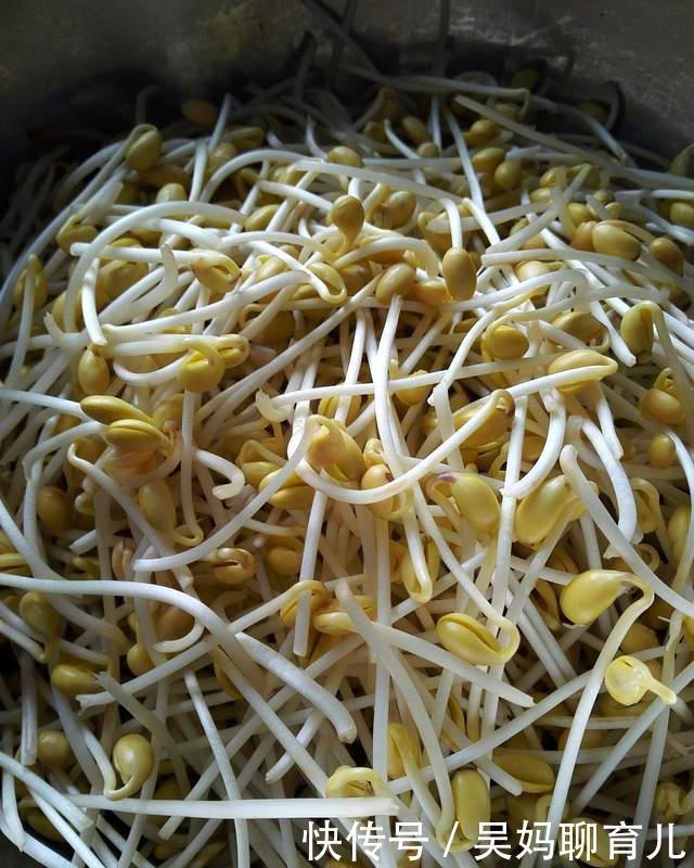 在家|教你在家发豆芽,不用土壤不用肥料,3天就能吃,脆嫩营养又卫生