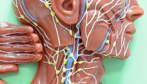 骨质疏松|50岁的男人,若六个迹象都没出现,值得恭喜,可能拥有长寿体质!