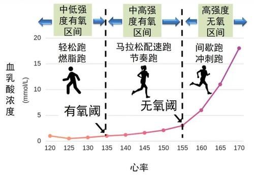 心肺强化耐力强化区别