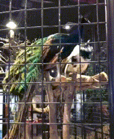 |搞笑GIF：霸气了我的姐 这辈子见过最拉风的走路姿势