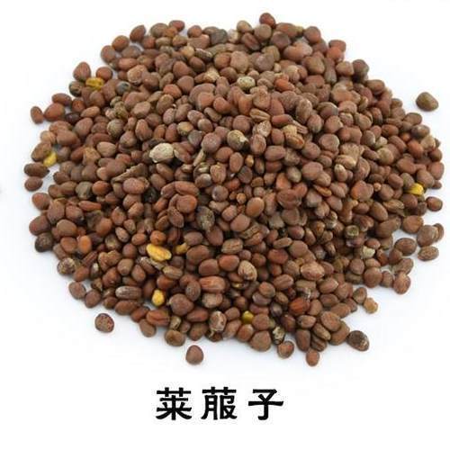 方子|一个非常强大的方子,只需3味药,把痰湿彻底根除,神清气爽