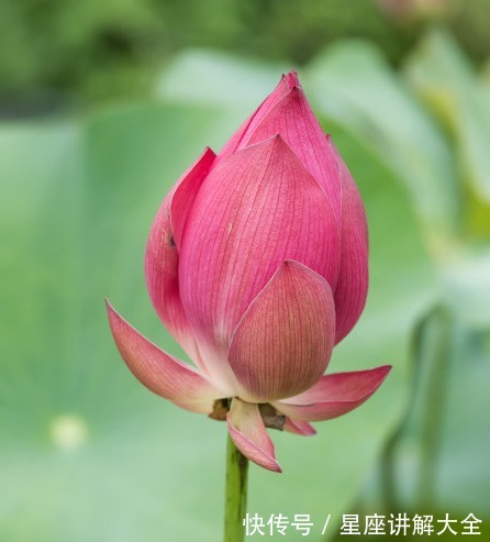 横财|10月上旬，4属相时来运转，横财大旺，桃花朵朵，收获满满