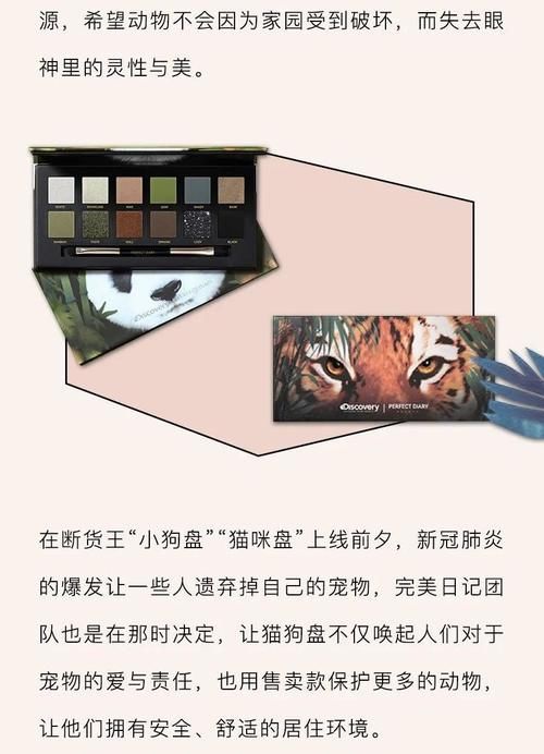 谁说东方美人不在眼睛上做文章